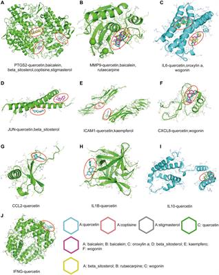 A Preliminary Inquiry Into the Potential Mechanism of Huang-Lian-Jie-Du Decoction in Treating Rheumatoid Arthritis via Network Pharmacology and Molecular Docking